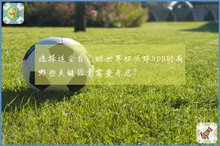 选择适合自己的世界杯买球app时有哪些关键因素需要考虑？