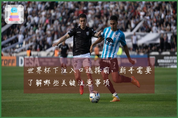 世界杯下注入口选择前，新手需要了解哪些关键注意事项