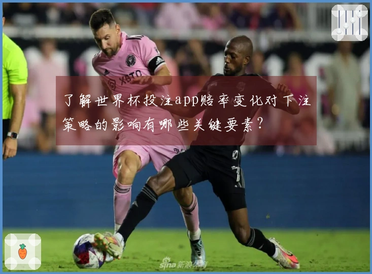 了解世界杯投注app赔率变化对下注策略的影响有哪些关键要素?