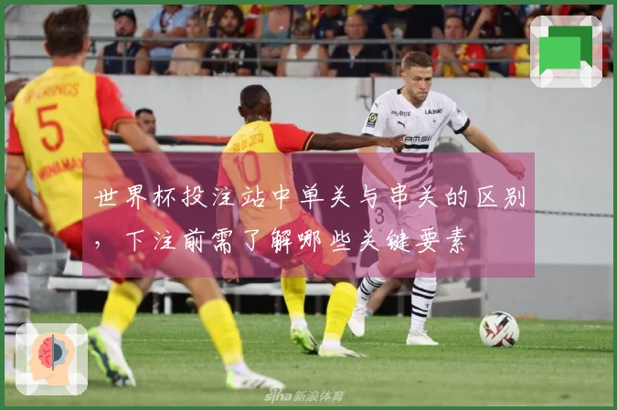 世界杯投注站中单关与串关的区别，下注前需了解哪些关键要素