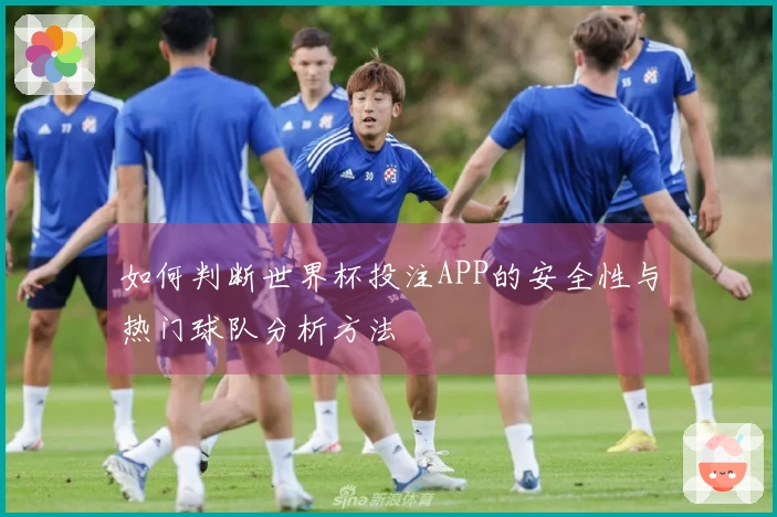 如何判断世界杯投注APP的安全性与热门球队分析方法