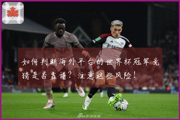 如何判断海外平台的世界杯冠军竞猜是否靠谱？注意这些风险！