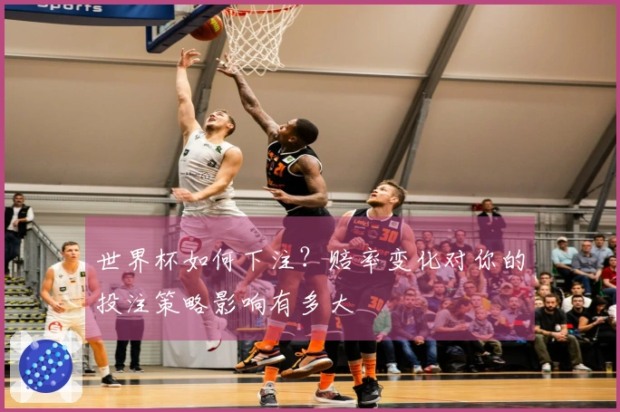 世界杯如何下注？赔率变化对你的投注策略影响有多大