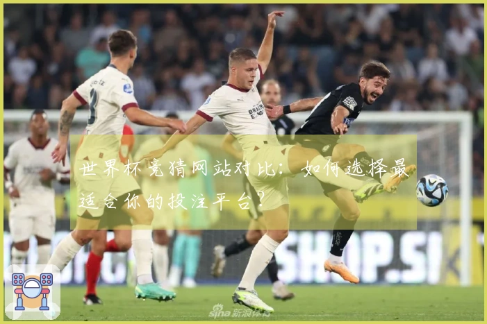 世界杯竞猜网站对比：如何选择最适合你的投注平台？