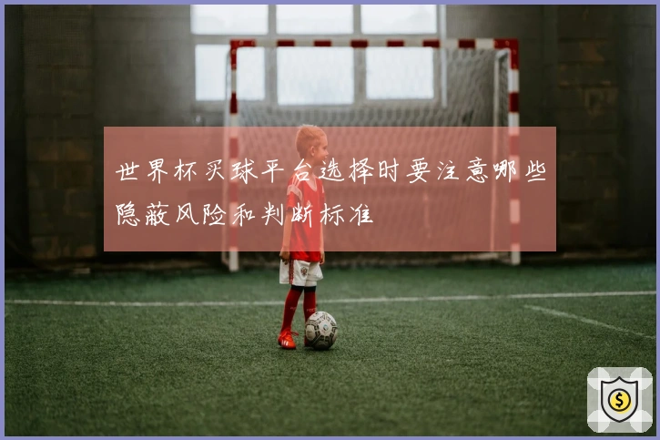 世界杯买球平台选择时要注意哪些隐蔽风险和判断标准