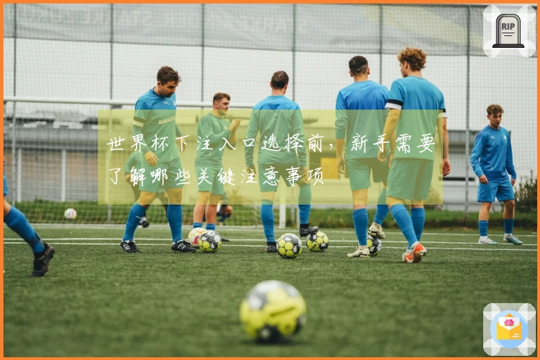 世界杯下注入口选择前，新手需要了解哪些关键注意事项