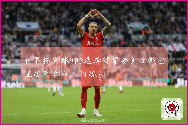 世界杯买球app选择时需要关注哪些正规平台和入门规则