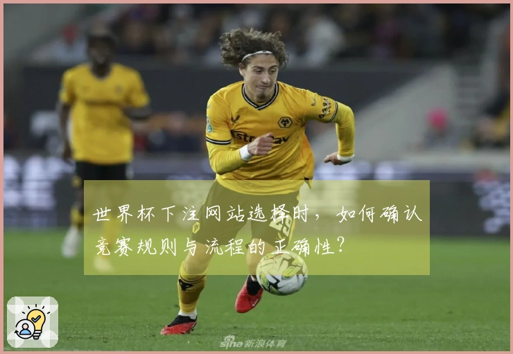 世界杯下注网站选择时，如何确认竞赛规则与流程的正确性？
