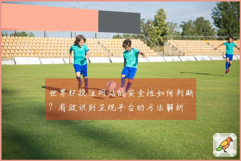 世界杯投注网站的安全性如何判断？有效识别正规平台的方法解析