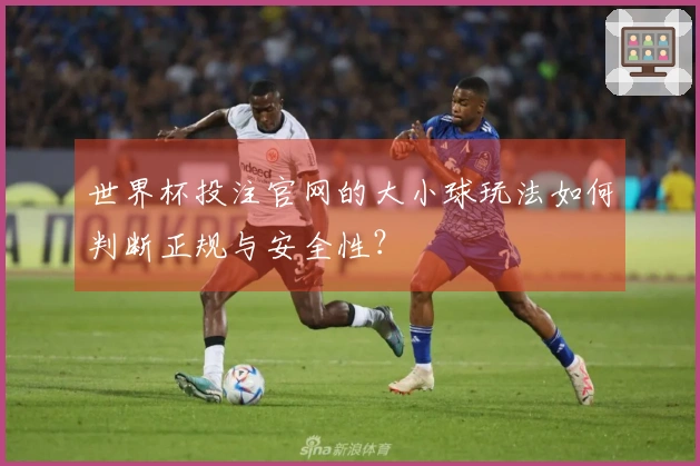 世界杯投注官网的大小球玩法如何判断正规与安全性？