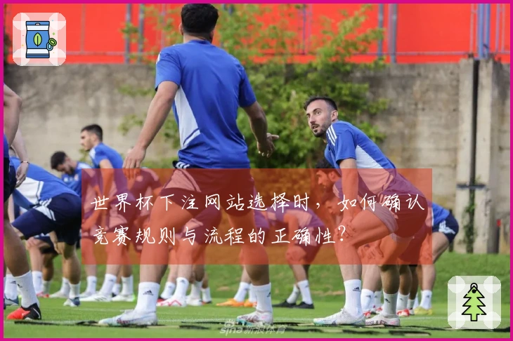 世界杯下注网站选择时，如何确认竞赛规则与流程的正确性？