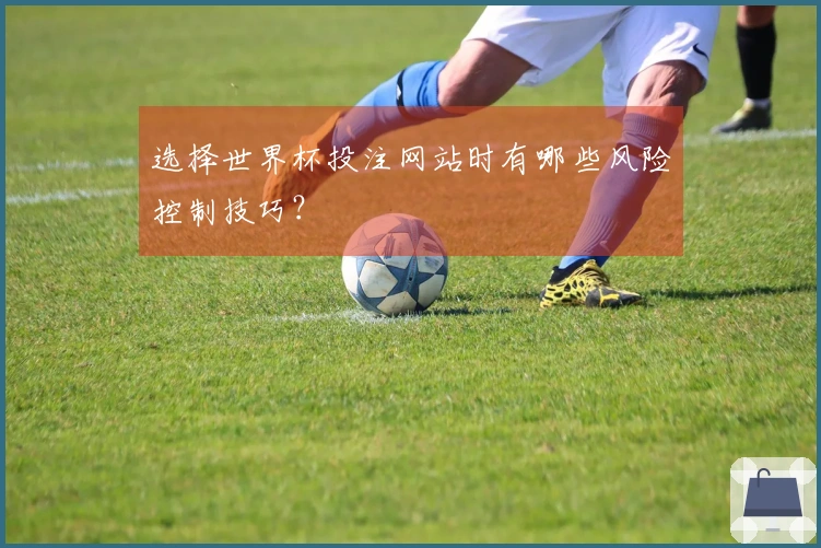 选择世界杯投注网站时有哪些风险控制技巧？
