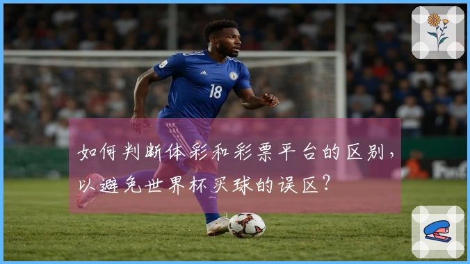 如何判断体彩和彩票平台的区别，以避免世界杯买球的误区？