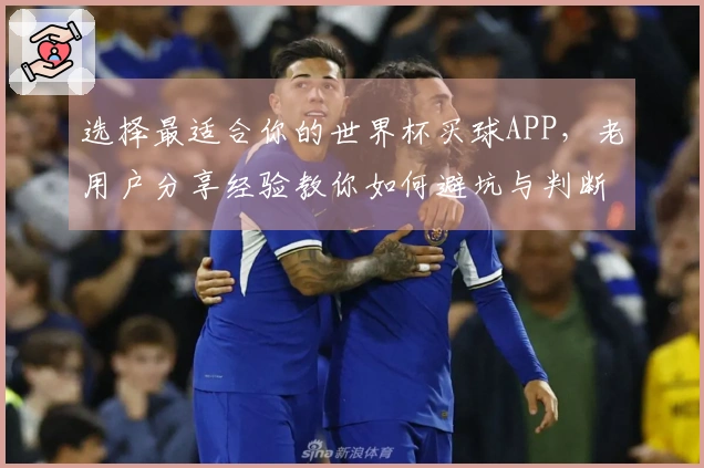 选择最适合你的世界杯买球APP，老用户分享经验教你如何避坑与判断安全性