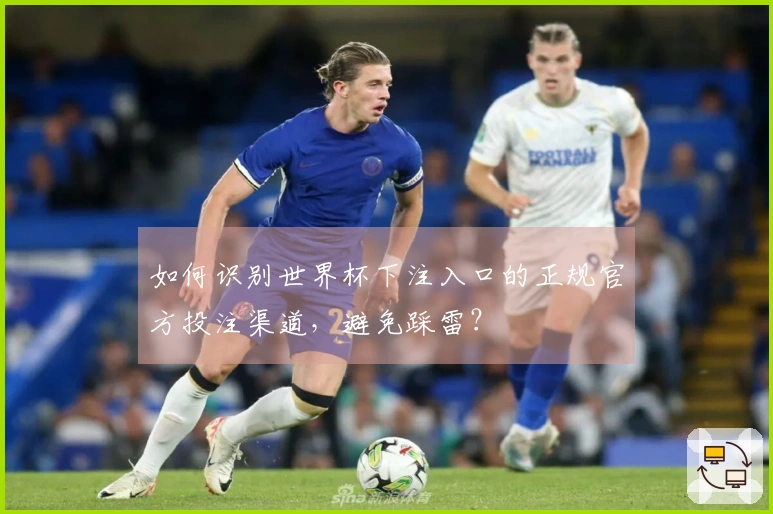 如何识别世界杯下注入口的正规官方投注渠道，避免踩雷？