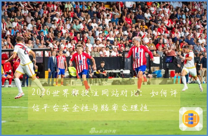 2026世界杯投注网站对比：如何评估平台安全性与赔率合理性