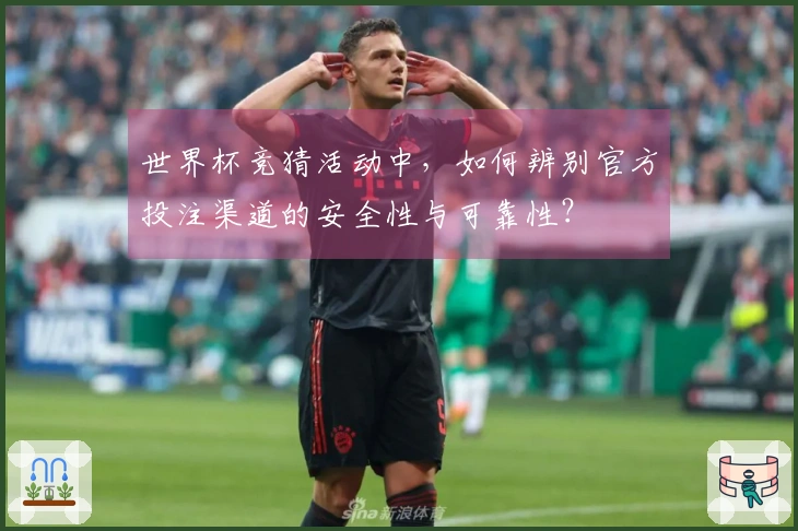 世界杯竞猜活动中，如何辨别官方投注渠道的安全性与可靠性？