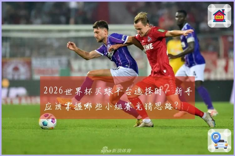 2026世界杯买球平台选择时，新手应该掌握哪些小组赛竞猜思路？