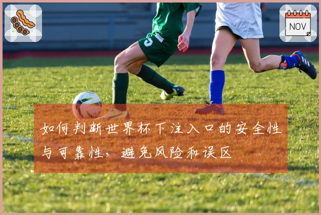 如何判断世界杯下注入口的安全性与可靠性，避免风险和误区